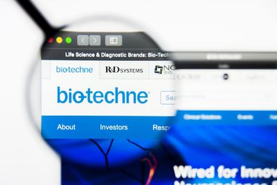 Do Wall Street Analysts Like Bio-Techne Stock?