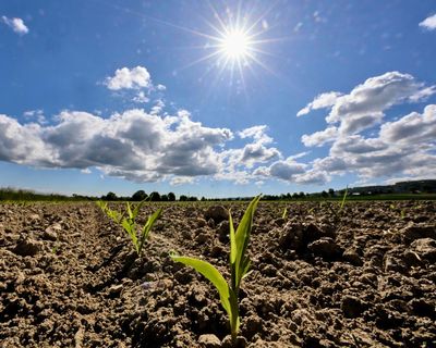 Dry spring weather to make way for rain in parts of Europe