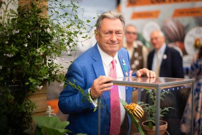 Keep eye out for ‘savage’ potato-threatening Colorado beetle, Titchmarsh urges