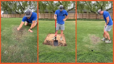 ‘We got this on camera’: Homeowner solves stubborn lawn problem by digging deeper. Then makes shocking discovery