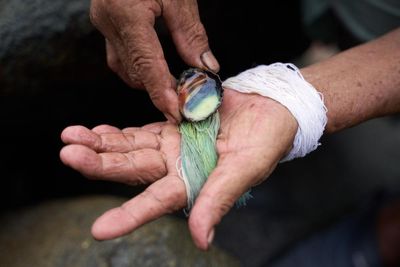 ‘We sometimes milked 3,000 snails a day!’: the dying art of milking molluscs