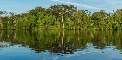 Governors are leading the fight against climate change and deforestation around the world, filling a void left by presidents