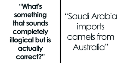 30 Facts That Took People By Surprise When They First Heard Them, As Shared Online