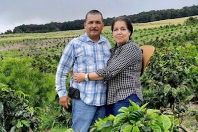 Immigrants are being rounded up in Hawaii’s coffee fields and being treated worse than ‘cats and dogs,’ locals say