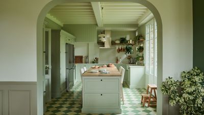 9 color-drenched kitchens that prove this paint trend is totally timeless when used in this hardworking space