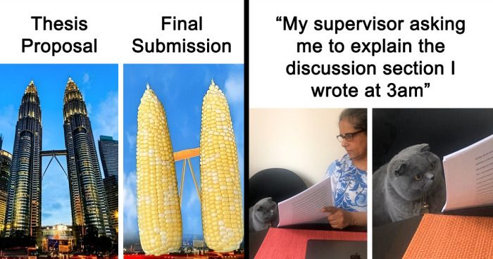 “I Made This One With My Tears”: 29 Memes That…
