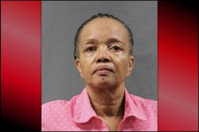 Elderly Woman Shot Her Adult Son Because He Was Playing Video Games Too Loud: Police