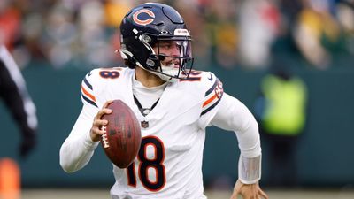 The Bears’ Saga to Find a New Home a Reminder Owner Modes Could Be So Much More Story-Rich and Interesting in Video Games