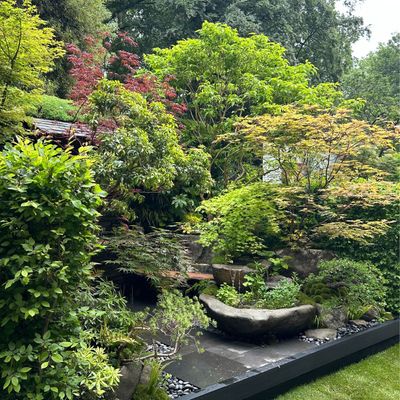 5 emerging garden trends I spotted at the RHS Chelsea Flower Show 2025 – from exciting planting schemes to future-friendly gardening techniques