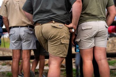 Trump alleges 'genocide' in South Africa. At an agricultural fair, even Afrikaner farmers scoff