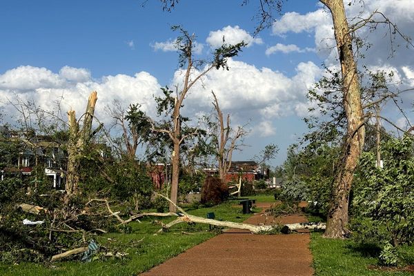 Where’s FEMA? St. Louis mayor pleads for help from federal government after fatal tornado