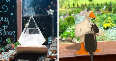 25 Finds That Are So Weirdly Wonderful Your Beige-Loving Friends Just Won’t Get It