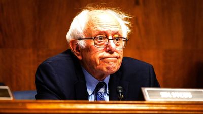 Bernie Sanders throws up his hands and admits the Democrats are also a threat to democracy
