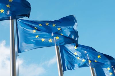 The EU should cut actual red tape, not AI safeguards