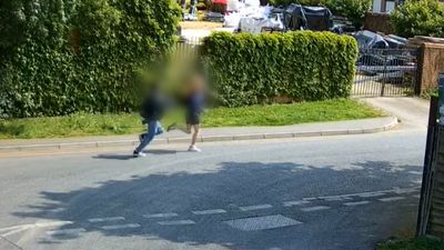 Two teenagers admit mutilating and killing kittens with knives and blowtorch in horrific London attack