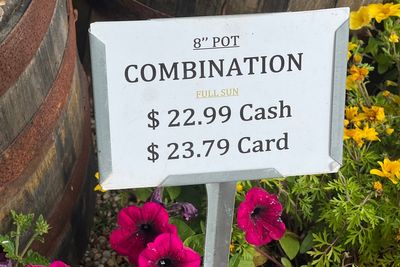 Should I bring cash when I visit the US? Businesses hit tourists with 10% surcharge for credit cards