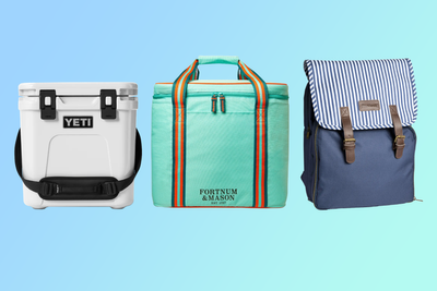 Best cool bags and ice boxes 2025, tested on picnics, beach trips and hikes