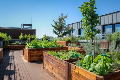 No Yard, No Problem: How Urban Gardening Is Changing City Life