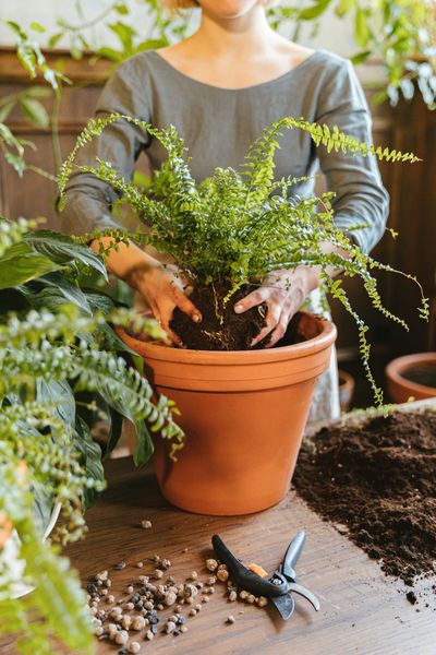 Are Store-Bought Planters a Rip-Off? Try DIY Instead