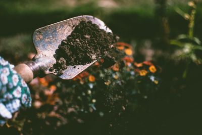 Think Gardening Is Too Expensive? These Cheap Hacks Prove You Wrong