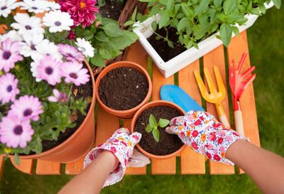 7 Traditional Gardening Tips That Science Says Are Wrong