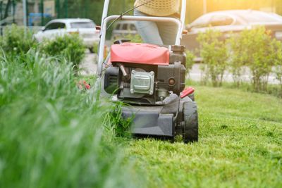 How Many Times a Month Should You Get Your Grass Cut?