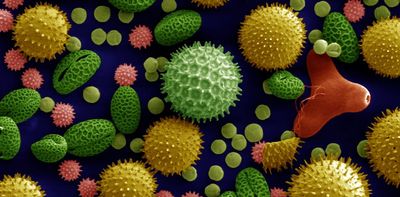 Ancient pollen reveals stories about Earth’s history, from the asteroid strike that killed the dinosaurs to the Mayan collapse