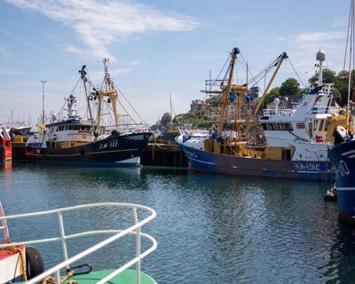 Selling our sole? Brixham fishers divided on UK’s new EU deal