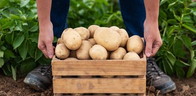 How to tackle new strains of potato blight and avoid another great famine