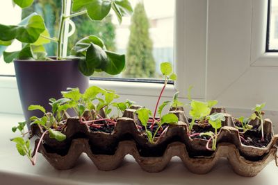 10 Recycled Materials That Make Your Garden Better (and Cheaper)