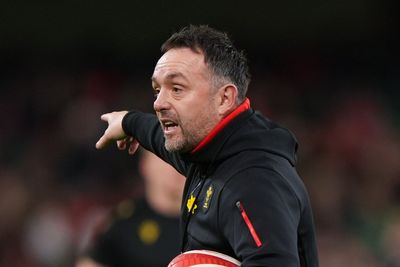 Matt Sherratt hopes Wales can ‘lay foundation’ against Japan and end losing run
