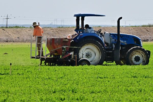 Valley Fever is ready to slam California again with record-breaking cases: Here’s what you need to know