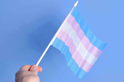 Republicans Push to Define Biological Sex in Statute
