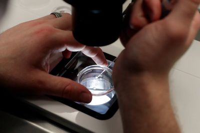 White House says Trump is reviewing IVF policy recommendations promised in executive order