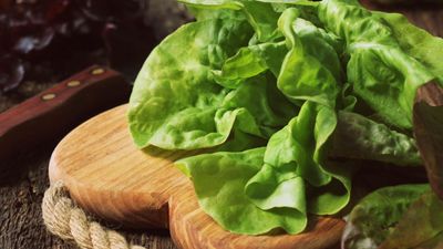How to harvest butter lettuce – an expert grower reveals 2 ways to get multiple pickings from your plants
