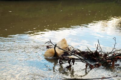 ‘Record’ 81 criminal investigations into water sector as sewage inspections soar