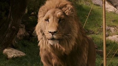 Netflix’s Next Big Fantasy Franchise Just Added A Surprising Star