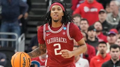 The Florida Gators have landed Arkansas' Boogie Fland in the transfer portal