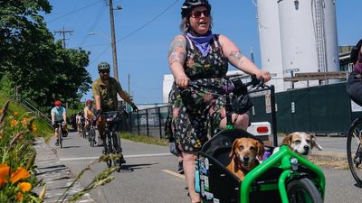 How I turned a pandemic dog adoption into a cargo bike adventure — and everything I learned about riding with dogs along the way