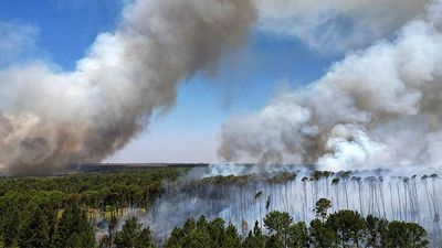World lost a record-shattering amount of forest in 2024, fuelled by climate change-driven wildfires