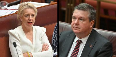 View from The Hill: Coalition split puts Victorian and NSW Nationals Senate seats at high risk