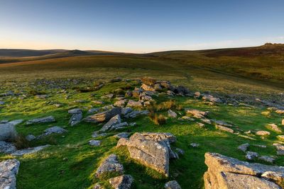 Hope that Dartmoor case will lead to more rights for campers