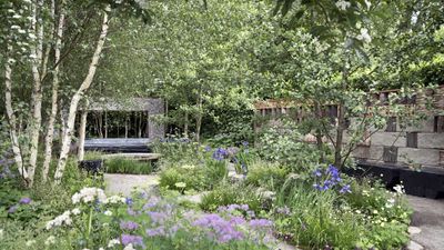 Plants you should never let grow too tall to avoid HOA fines – and the best dwarf alternatives