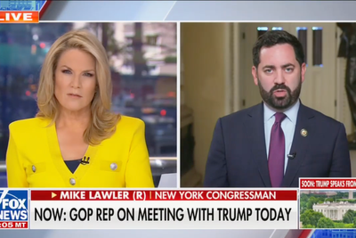 House Republican goes scorched earth on Trump’s ‘big, beautiful bill’ in Fox News appearance