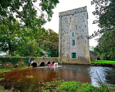 European year of the Normans reopens debate over Irish identity