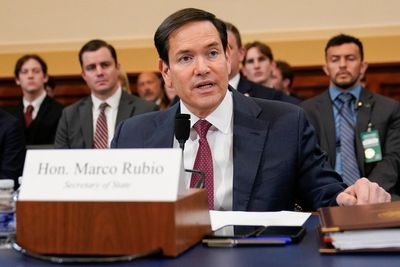 Senator says Rubio protesters speaking in English are ‘making progress’