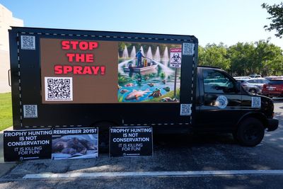 Florida considers controversial black bear hunt amid strong opposition
