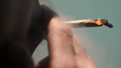 Thailand vows tighter controls of cannabis as smuggling cases among tourists soar