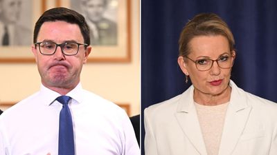 Olive branches offered for possible coalition reunion