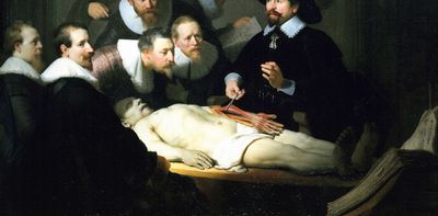 How male anatomy became the default in medicine – and why that’s a problem
